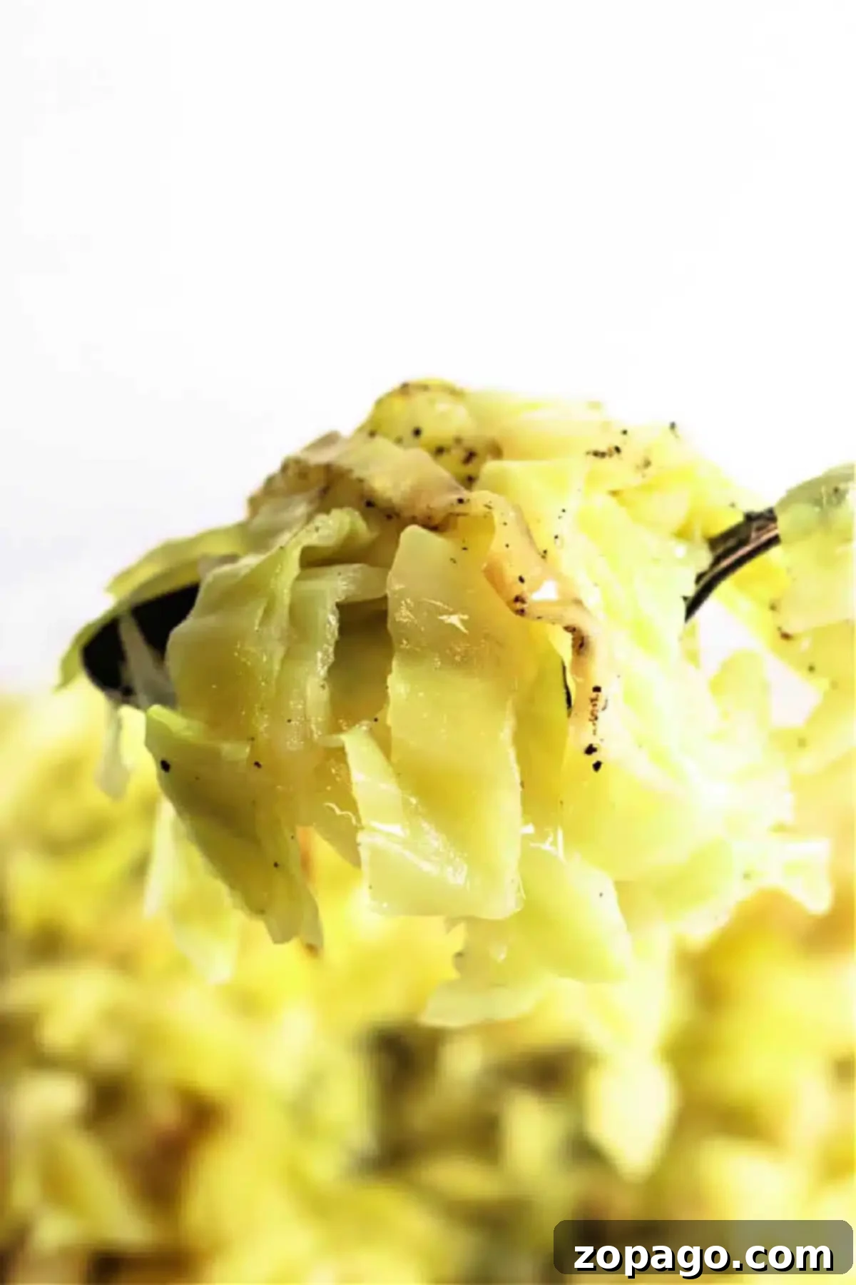 Easy Slow Cooker Cabbage 2 A fork holds a portion of slow cooker cabbage seasoned with black pepper. The light green cabbage appears soft and tender, with a focus on the fork and cabbage in the foreground against a blurred background.