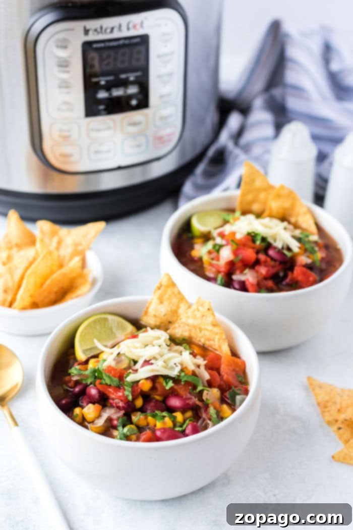 Effortless Instant Pot Plant-Based Soups 2 Instant Pot Vegetarian Soup - a vibrant bowl of vegetable and bean soup