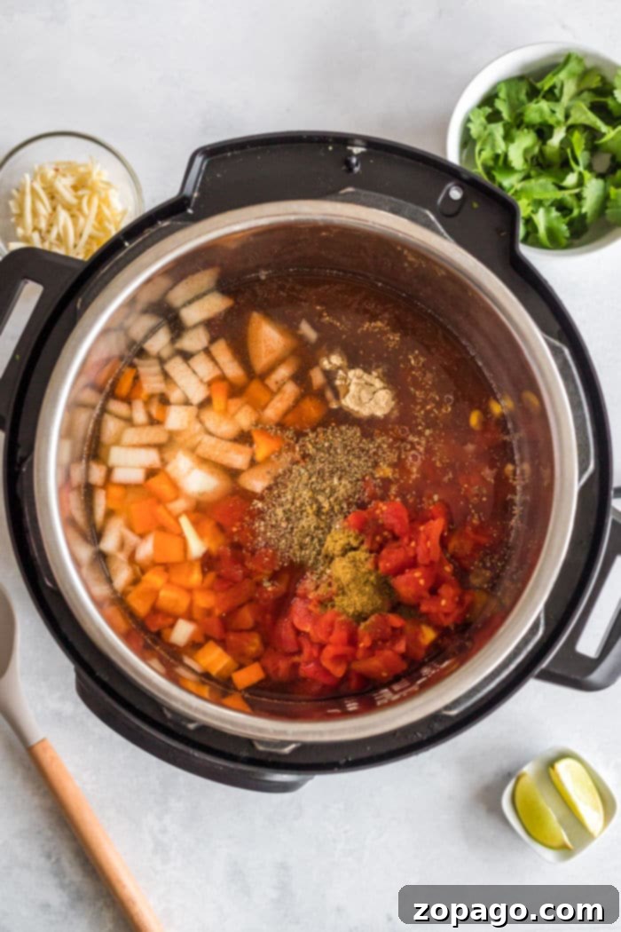 Effortless Instant Pot Plant-Based Soups 5 VEGETARIAN SOUP INSTANT POT - A close up of the soup with a spoon
