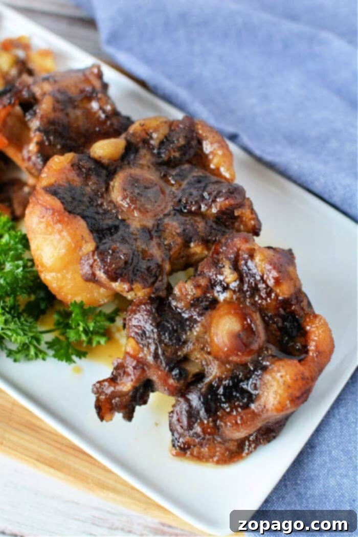 Fall-Off-The-Bone Oxtail 11 crockpot oxtails and gravy