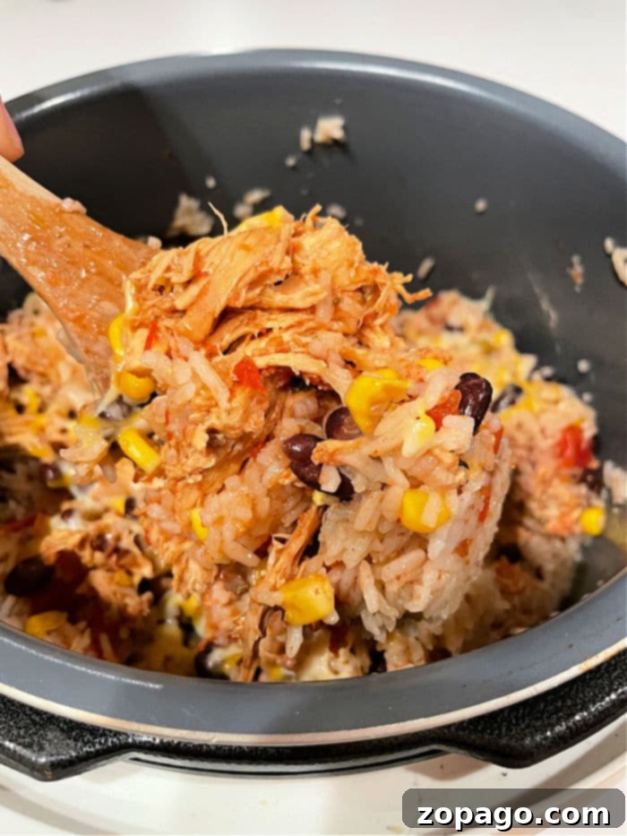 Instant Pot Leftover Chicken Makeovers 5 A collection of delicious Instant Pot leftover chicken recipes, featuring various comfort food dishes perfect for a quick and easy family dinner.
