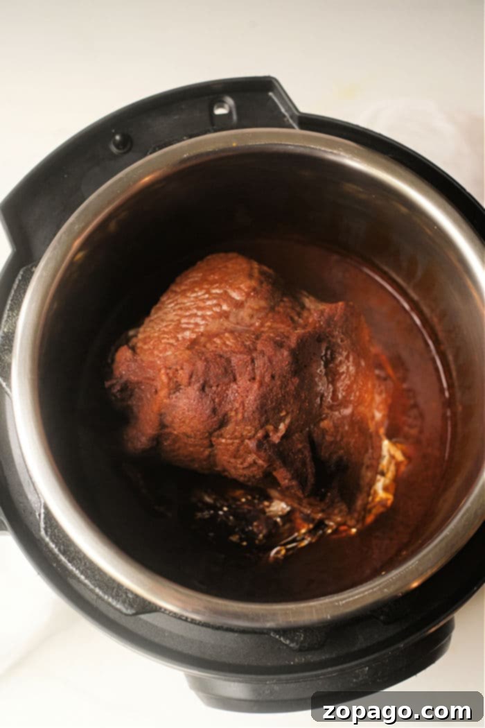 Fiesta Pot Roast 6 Hearty and flavorful Mexican chuck roast cooked in a pressure cooker.