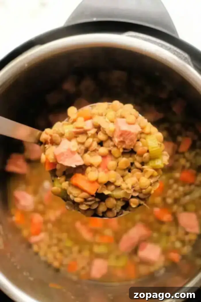 Hearty Instant Pot Lentil and Ham Soup 2 A ladle holds a serving of lentil soup with ham, showcasing visible chunks of meat, carrots, and celery, above a pot brimming with more soup. The contents display a delightful mix of earthy and colorful ingredients.