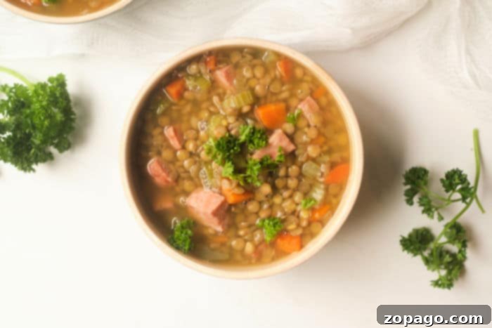 Hearty Instant Pot Ham and Lentil Soup 7 Lentil Soup