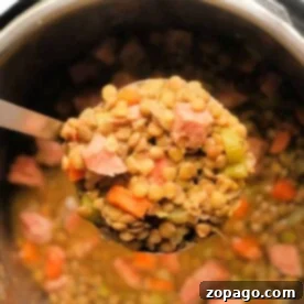 Hearty Instant Pot Ham and Lentil Soup 8 Lentil-Soup-with-Ham