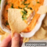 A hand holds a tortilla chip dipped in a dairy-free buffalo chicken dip, garnished with parsley, over a dish of more deliciously creamy dip.