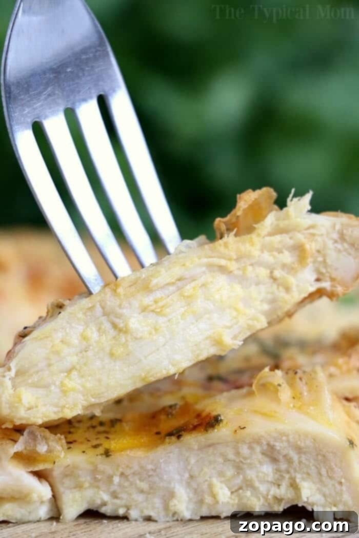 Tenderizing Frozen Meat 12 A fork holds a cooked chicken breast slice, showcasing its tender and juicy interior achieved by cooking a frozen chicken breast in an air fryer. The meat is seasoned with herbs and spices, while the background blurs into soothing shades of green.