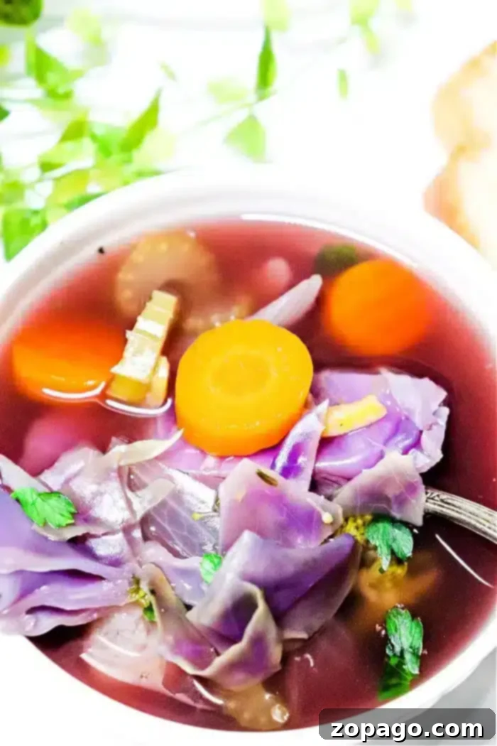 Vibrant Slow Cooker Purple Cabbage Soup 2 A vibrant bowl of Crockpot Cabbage Soup brimming with purple cabbage, carrots, celery, and herbs in a light, clear broth. A spoon is partially submerged in the soup, indicating it's ready to be enjoyed. Bright green leafy garnishes are visible in the background, adding a fresh touch.