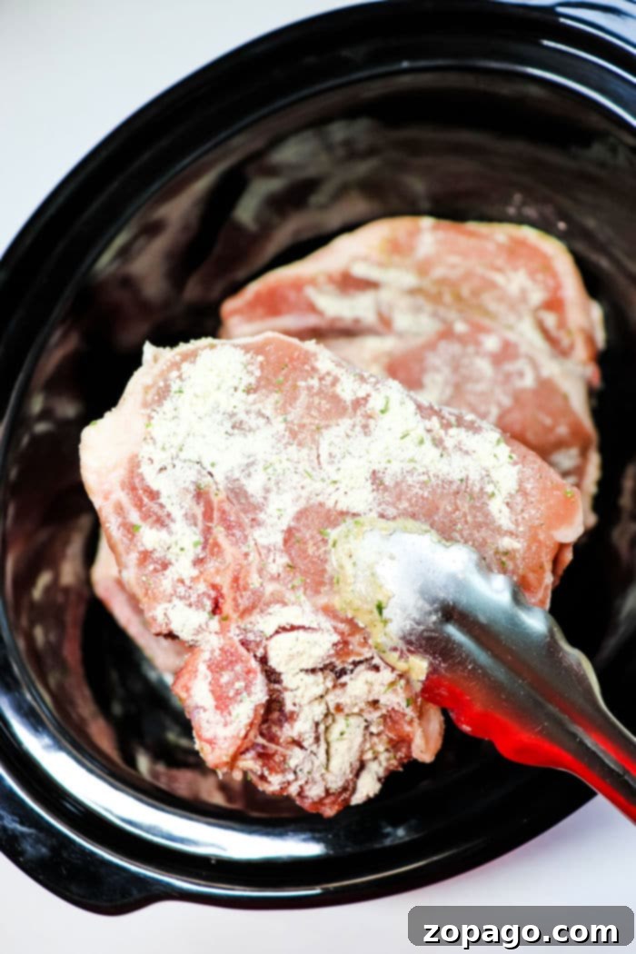 Slow Cooker Ranch Pork Chops 5 Close-up of slow cooker ranch pork chops with herbs