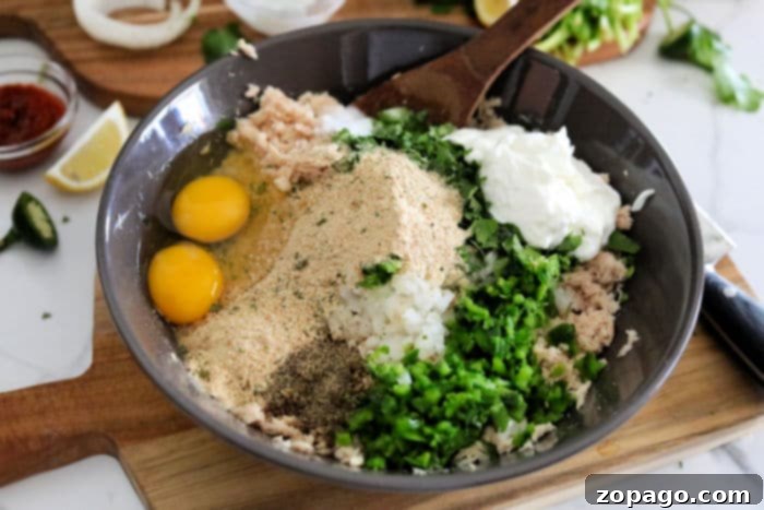 Air Fryer Tuna Patties 5 tuna patty recipe
