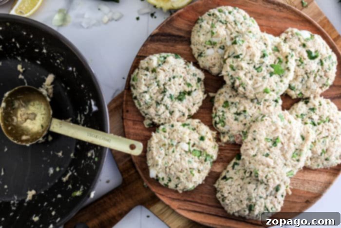 Air Fryer Tuna Patties 6 fish patties