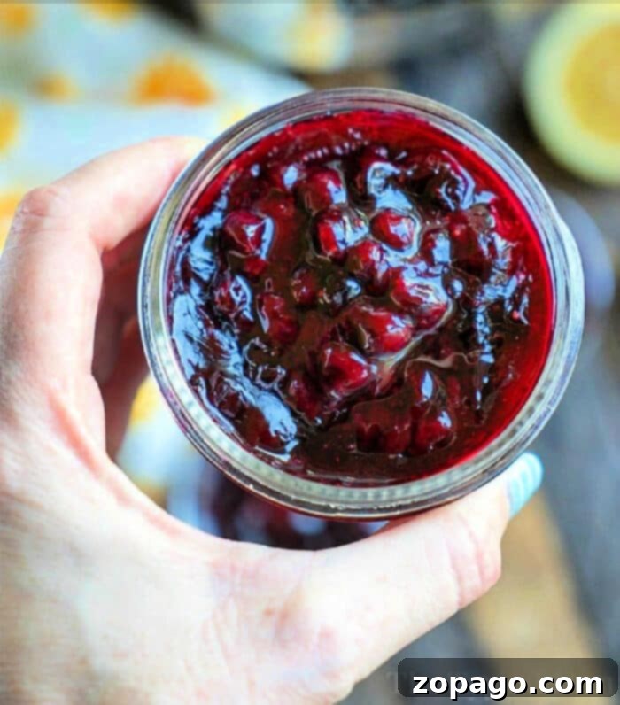 Mastering Jam Canning 2 A hand demonstrating how to can jam holds a jar of homemade blackberry jam, showcasing the visible fruit pieces.