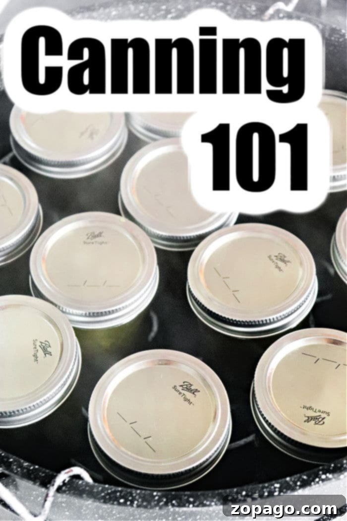 Mastering Jam Canning 8 how to can food