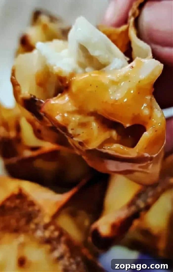 Crispy Air Fryer Ninja Foodi Crab Rangoon 2 Crispy Air Fryer Crab Rangoon served on a plate with dipping sauce