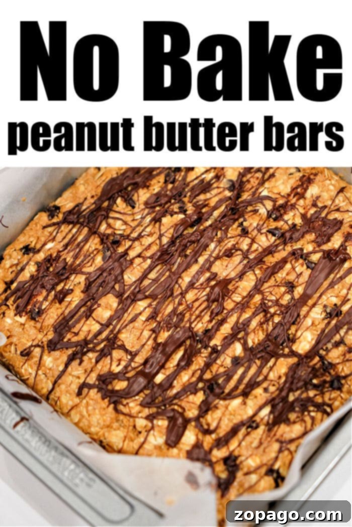 Viral TikTok Oatmeal Bars 6 A single no-bake chocolate peanut butter bar held, showing its perfectly set form and appealing layers.