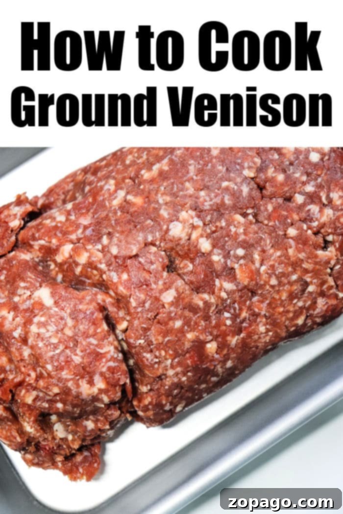 Hearty Venison Chili 3 ground venison recipe