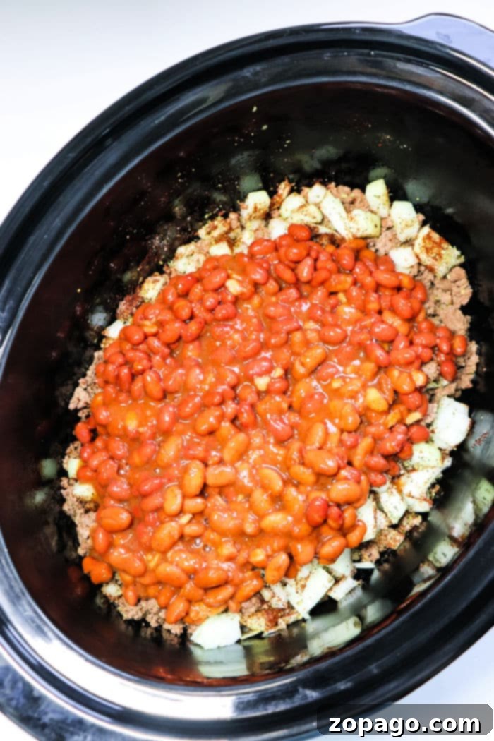 Hearty Venison Chili 8 venison chili