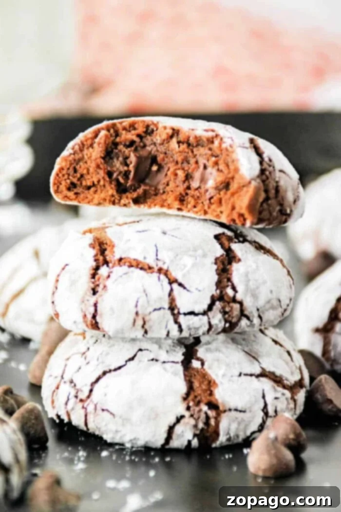 Frosted Fudge Crinkles 7 Brownie mix Crinkle Cookies