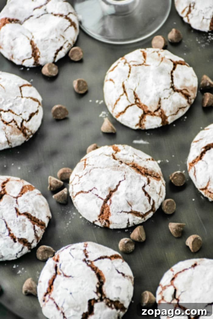 Decadent Chocolate Crinkles 8 Crinkle cookies, crafted with brownie mix and dusted with powdered sugar, are arranged on a dark surface. Chocolate chips are scattered among the cookies, enhancing their richly cracked appearance.