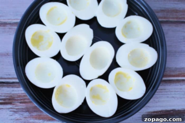 Gourmet Shrimp Deviled Bites 4 An array of perfectly piped deviled eggs, some topped with mini shrimp, showcasing elegant party food presentation.