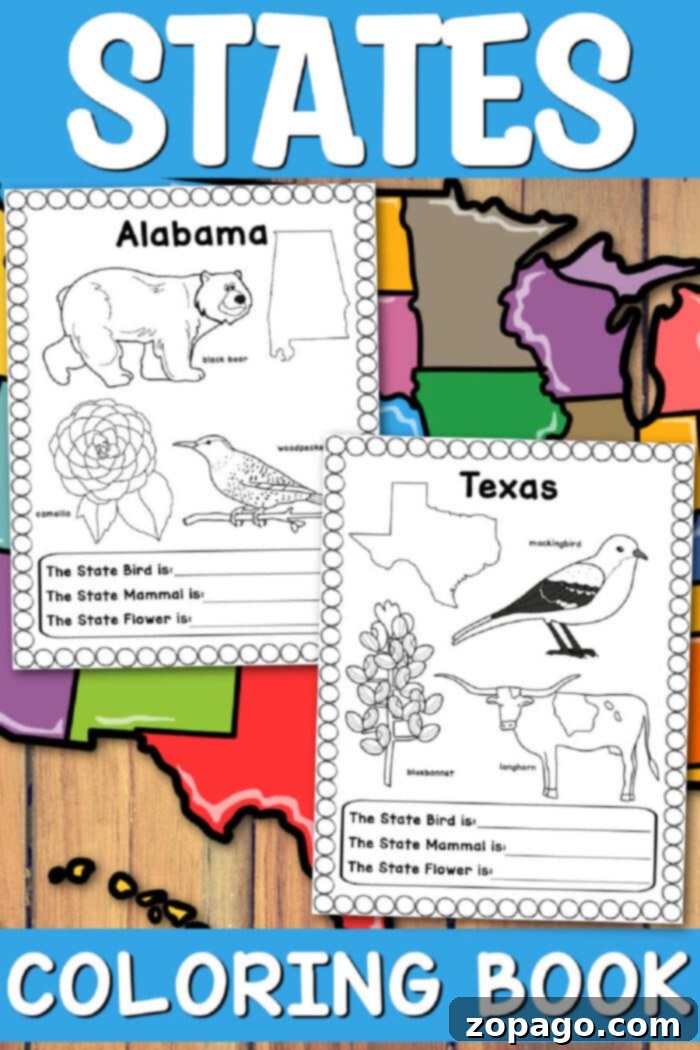 Free Printable US States Worksheets 2 US States Worksheets for Kids