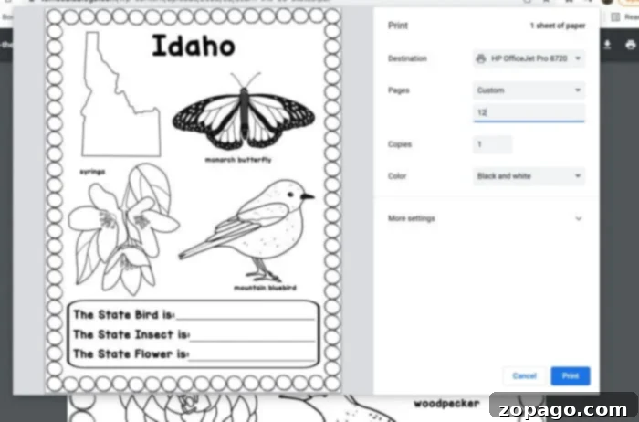 Free Printable US States Worksheets 5 USA coloring book with all 50 states