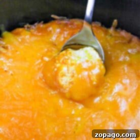 A spoon scoops cheesy, golden-brown Publix Buffalo Chicken Dip from a baking dish.