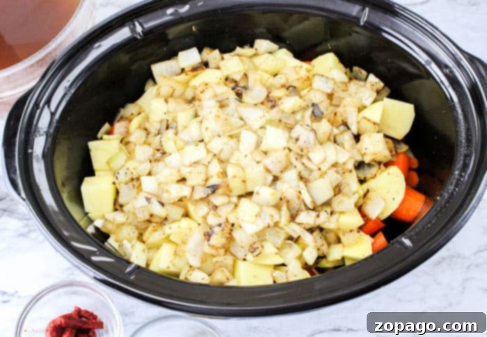 Onion Soup Mix Slow Cooker Beef Stew 6 Stew with Onion Soup Mix