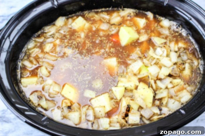 Slow Cooker Beef Stew: The Onion Soup Mix Secret 6 A serving of Slow Cooker Beef Stew with Onion Soup Mix, rich with tender beef, potatoes, and carrots.
