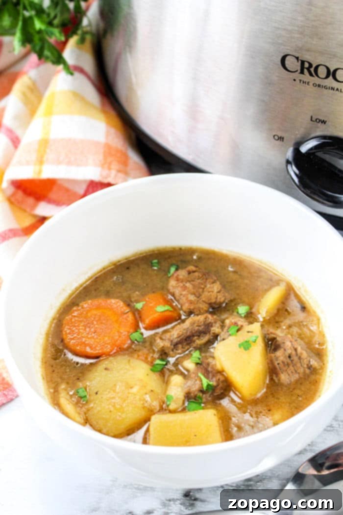 Onion Soup Mix Slow Cooker Beef Stew 9 Slow Cooker Beef Stew with Onion Soup Mix