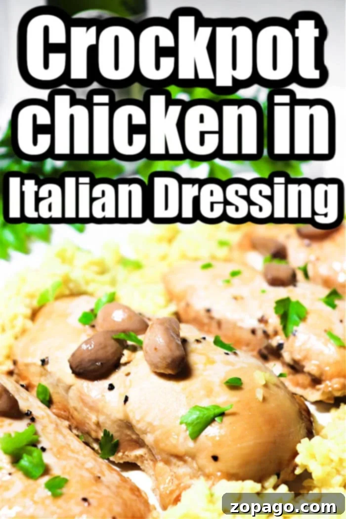 Zesty Italian Slow Cooker Chicken 8 Crockpot Chicken with Italian Dressing