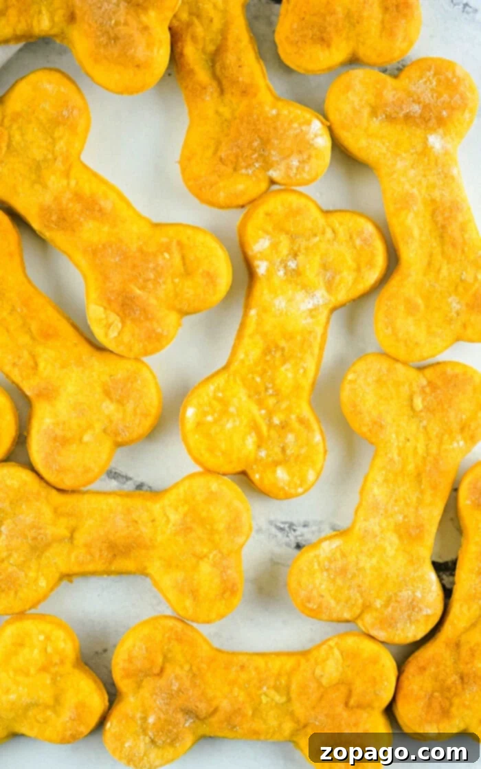 Air Fryer Homemade Dog Snacks 2 Air fryer dog treats, shaped like bones and delightfully orange, are neatly arranged on a white surface.
