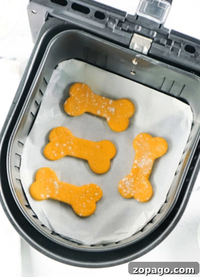 Air Fryer Homemade Dog Snacks 7 Air Fryer Dog Treats