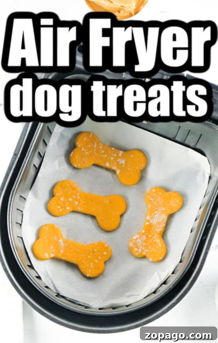 Air Fryer Homemade Dog Snacks 8 Air Fryer Dog Treats