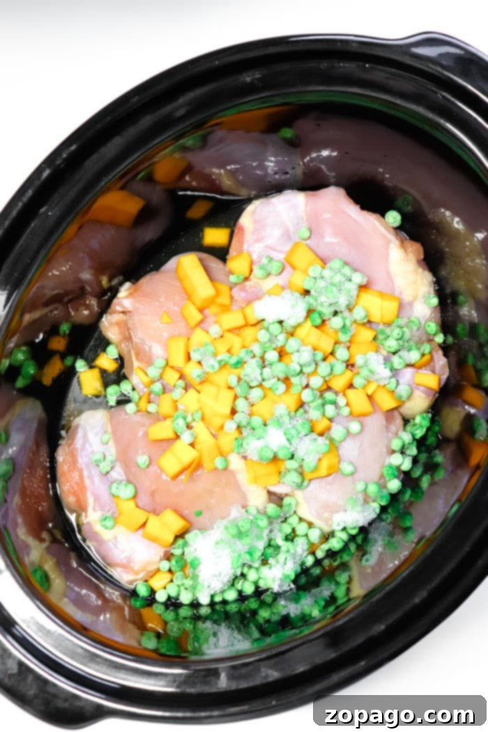 Easy Crockpot Chicken Dog Meals 5 Crockpot Dog Food recipe
