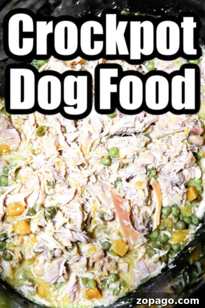 Easy Crockpot Chicken Dog Meals 6 homemade dog food recipe