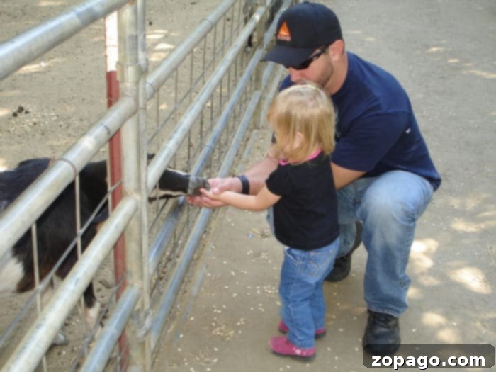 Over 100 Fun Things to Do with Kids in Southern California 7 Bates Nut Farm during a fall festival, perfect for families in Southern California