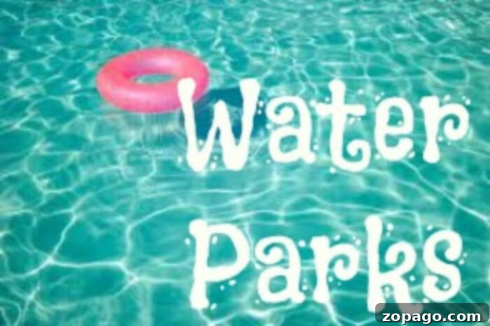 Southern California Water Park Guide 3 Best water parks in Orange County California