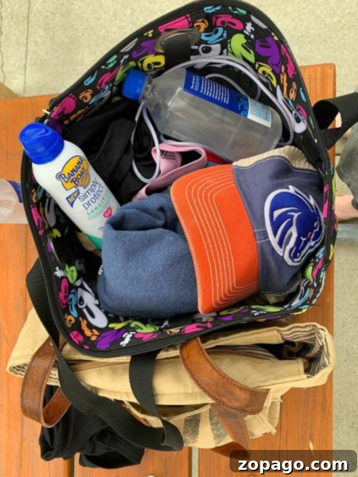 Southern California Water Park Guide 7 Essential items to bring to a water park