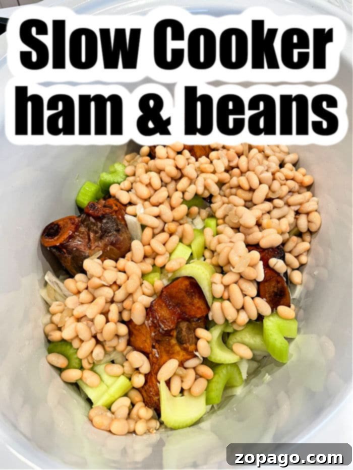 The Ultimate Ham Hock Recipe 4 A vibrant slow cooker full of ham hocks, Great Northern beans, celery, and carrots simmering in a rich broth, capturing the essence of a hearty ham hock soup.