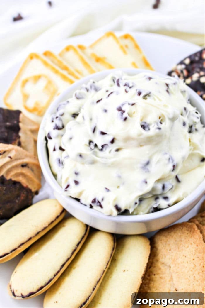 Philly Cream Cheese Dessert Dip 6 A bowl of chocolate chip dessert dip with various cookies and fruit