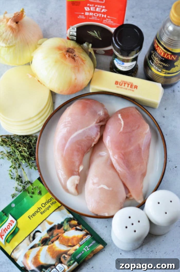 Easy Instant Pot French Onion Chicken 4 chicken with french onion soup mix, showcasing the rich flavor base