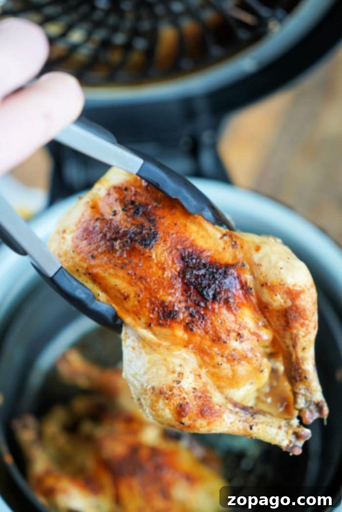 Tongs holding a piece of seasoned, cooked cornish hen with crispy skin above a Ninja Foodi basket, perfect for achieving that ideal crispy texture.