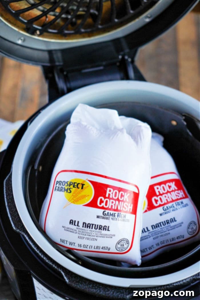 Two seasoned Cornish hens cooking in a Ninja Foodi air fryer basket.