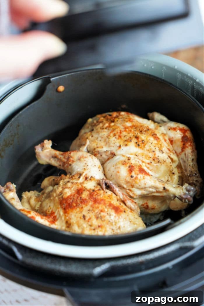 Delightful dish perfectly captures the flavors of a Ninja Foodi Cornish Hen.