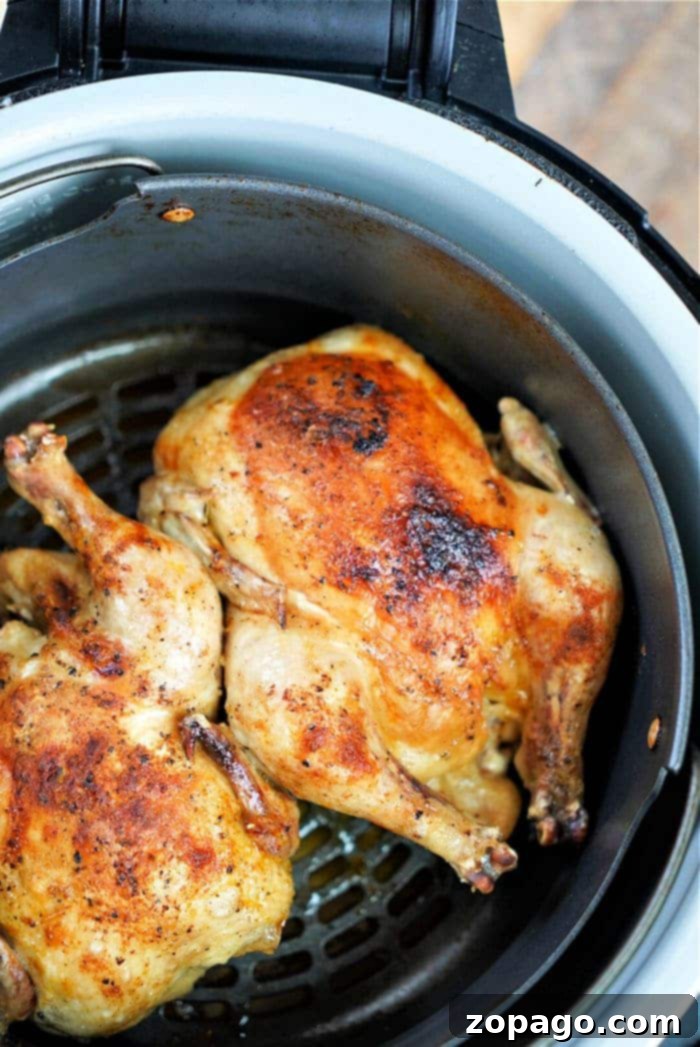 Two golden, crispy-skinned baby chickens nestled in a Ninja Foodi air fryer basket.