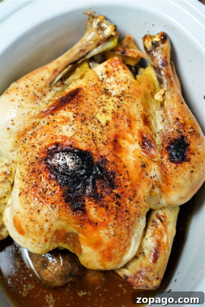 Set and Forget Frozen Whole Chicken 2 A perfectly cooked, tender whole chicken in a Crockpot, ready to be served for an easy family dinner.