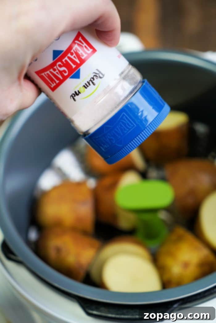Easy Instant Pot Potatoes 5 pressure cooker boiled potatoes with seasonings