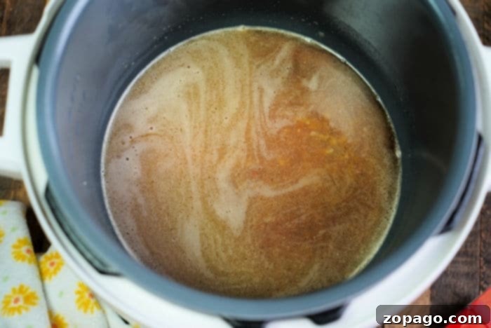Instant Pot Rice A Roni Cooking Time 6 ninja foodi rice a roni
