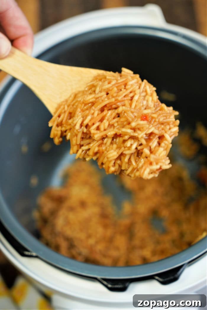 Instant Pot Rice A Roni Cooking Time 7 Instant Pot rice a roni